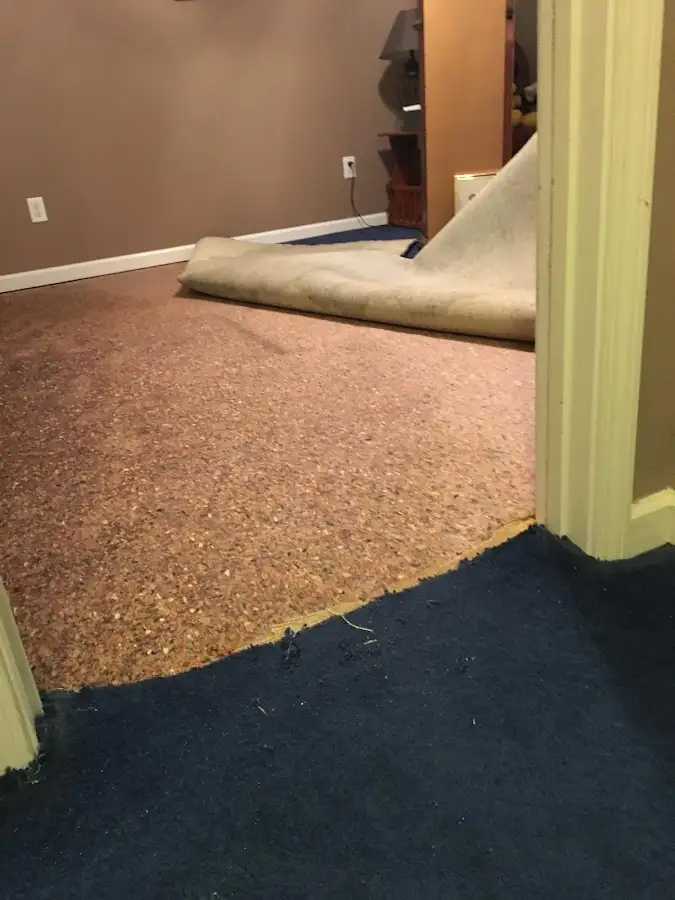 Carpet pad removal revealing water damage during Water Mitigation Services in Williston Park