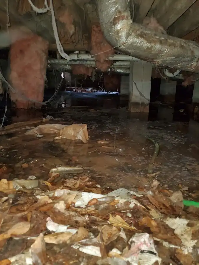 Crawl space flood assessment for Commercial Water Damage Restoration in Williston Park