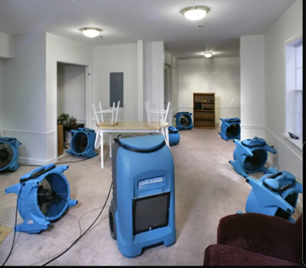 Air movers and dehumidifier setup for Water Extraction & Removal in Williston Park